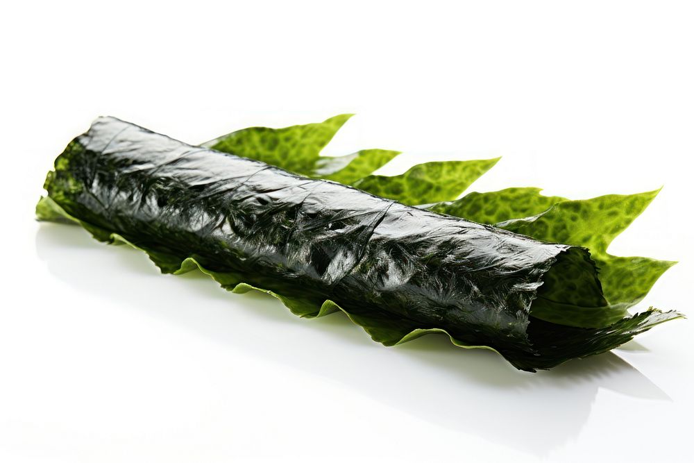 Plant food leaf white background. AI generated Image by rawpixel.