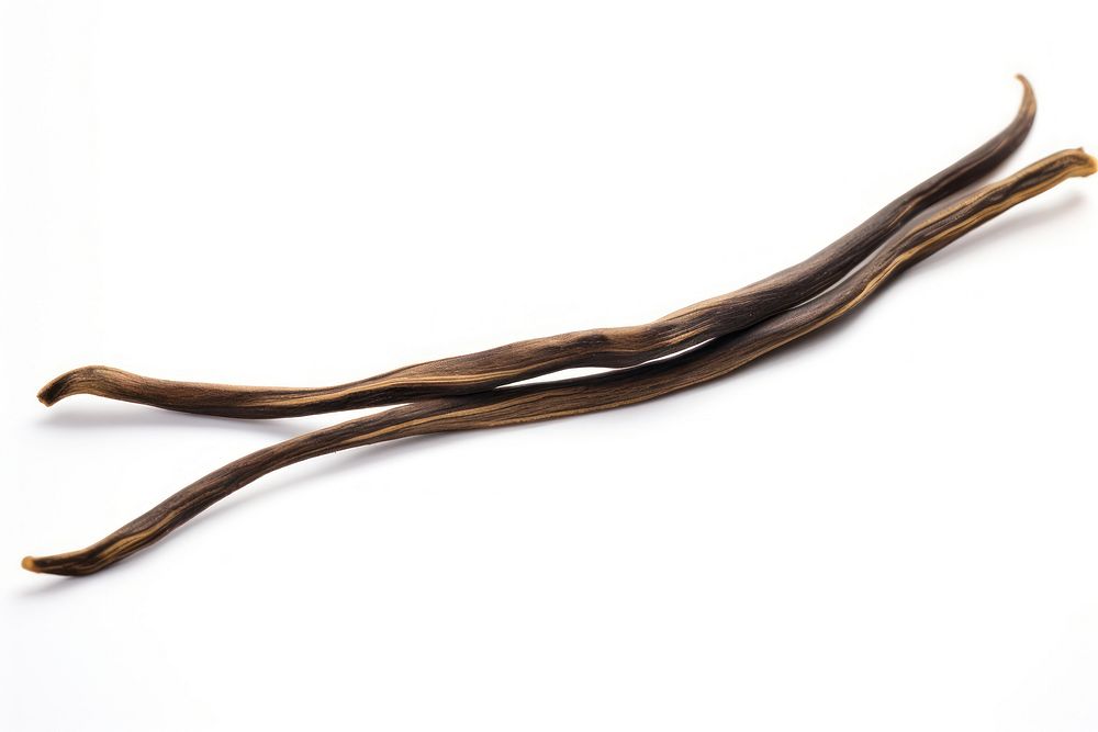 Vanilla bean antler white background driftwood. AI generated Image by rawpixel.