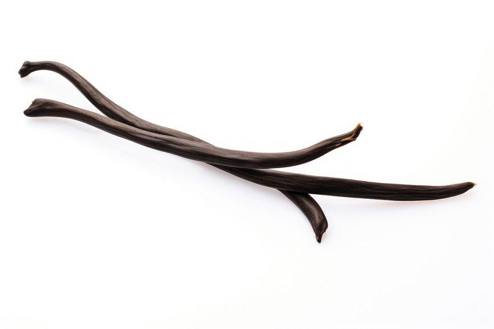 Vanilla bean antler white background simplicity. AI generated Image by rawpixel.