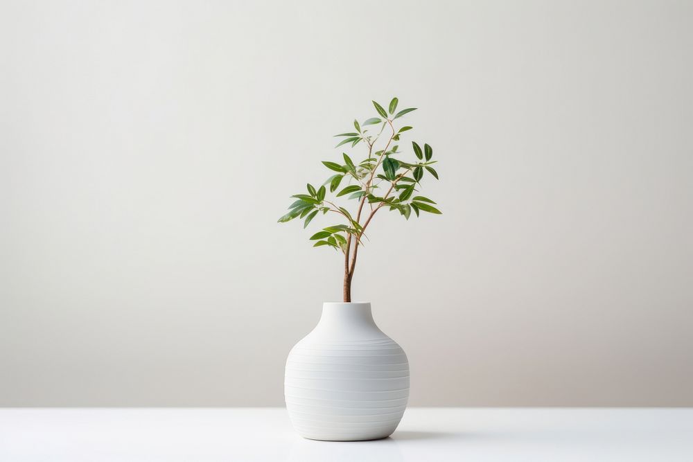 Vase porcelain plant white. AI | Free Photo - rawpixel