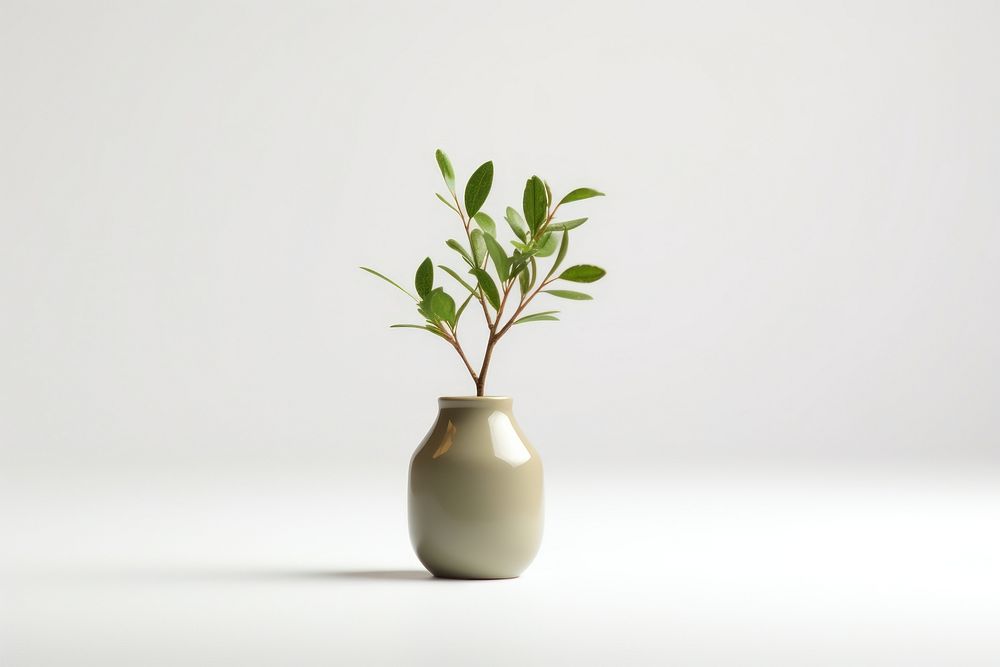 Vase plant houseplant decoration. AI generated Image by rawpixel.