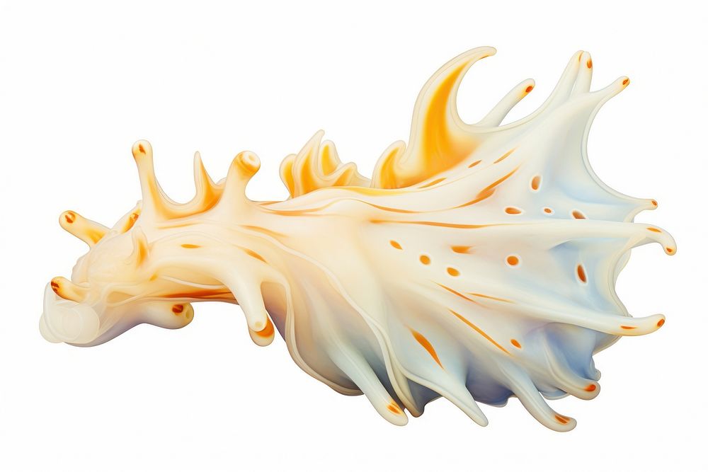 Animal white background invertebrate seashell. AI generated Image by rawpixel.