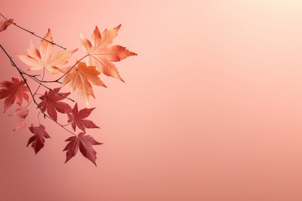 Backgrounds autumn maple plant. AI generated Image by rawpixel.