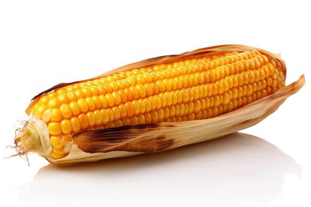 Plant corn food white background. AI generated Image by rawpixel.
