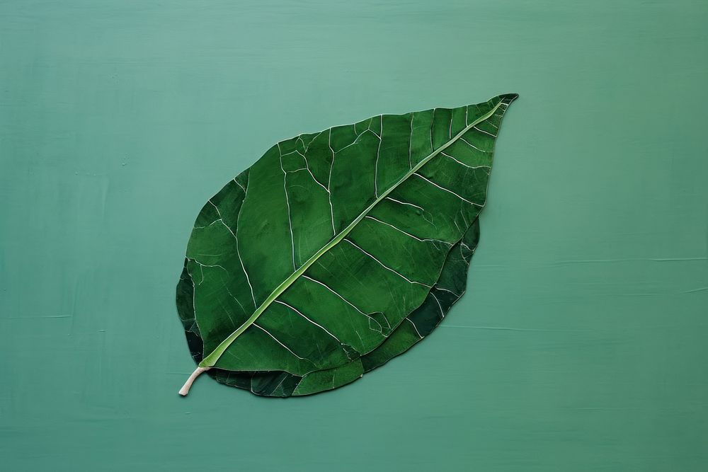 Leaf plant green tobacco. AI generated Image by rawpixel.