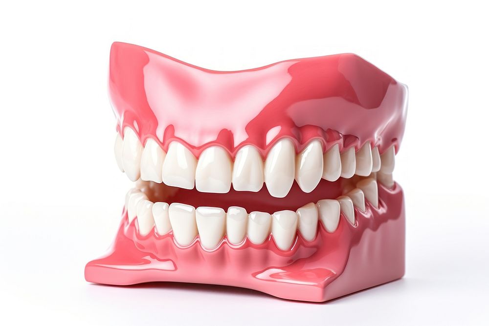Dentist dental model teeth jaw white background. AI generated Image by rawpixel.