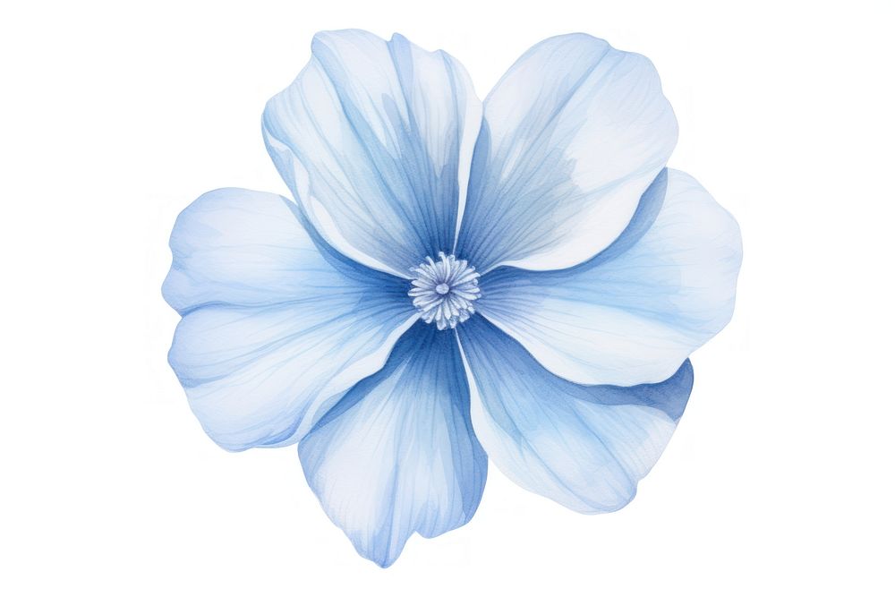 Soft Blue Flower flower nature petal. AI generated Image by rawpixel.