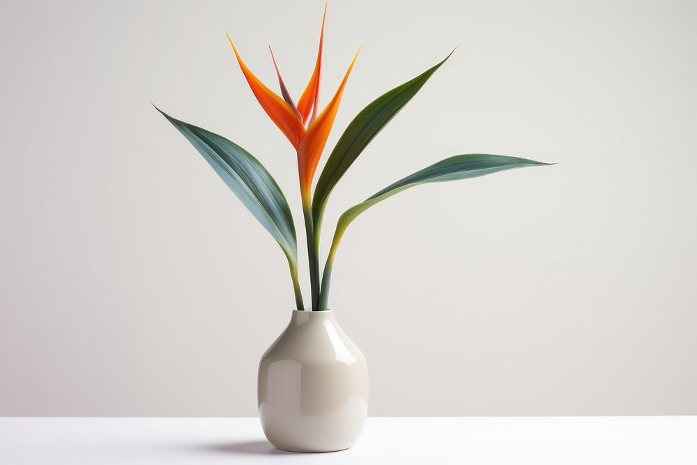Plant vase flower houseplant. AI generated Image by rawpixel.