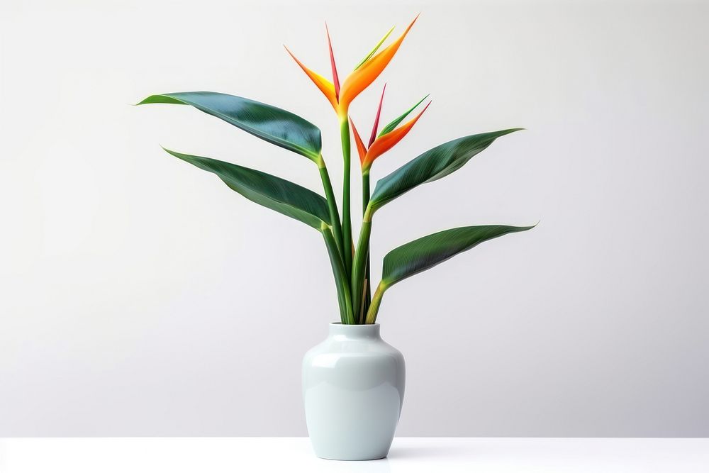 Plant vase flower houseplant. AI generated Image by rawpixel.