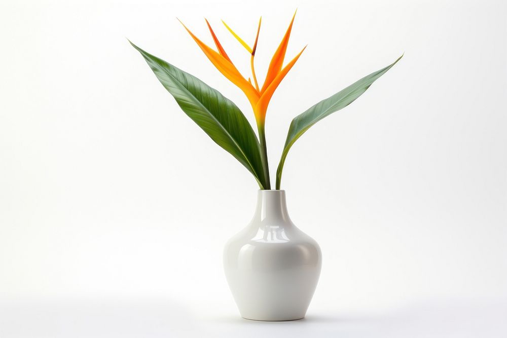 Plant vase flower leaf. AI generated Image by rawpixel.