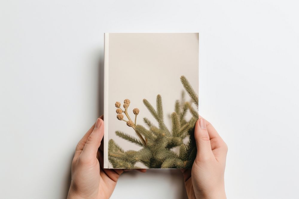 Holding nature hand christmas. AI generated Image by rawpixel.