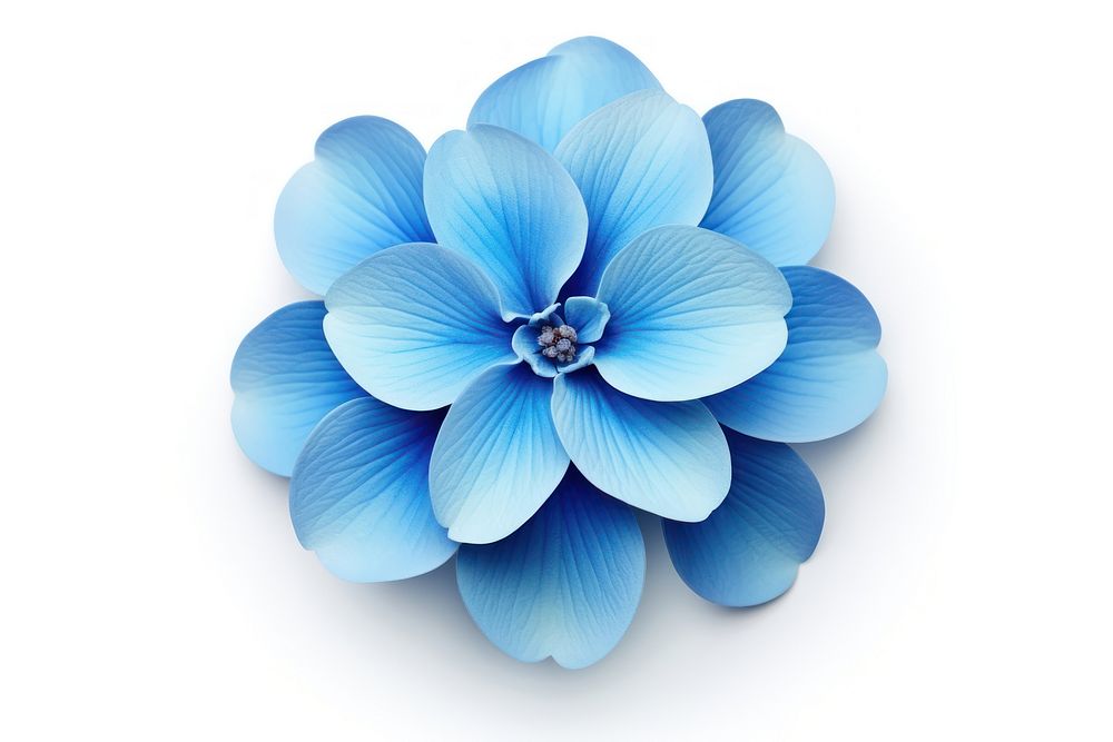 Blue Flower flower dahlia plant. AI generated Image by rawpixel.