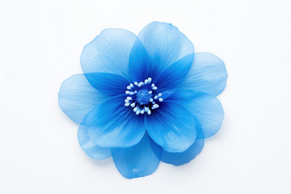Blue Flower flower petal plant. AI generated Image by rawpixel.
