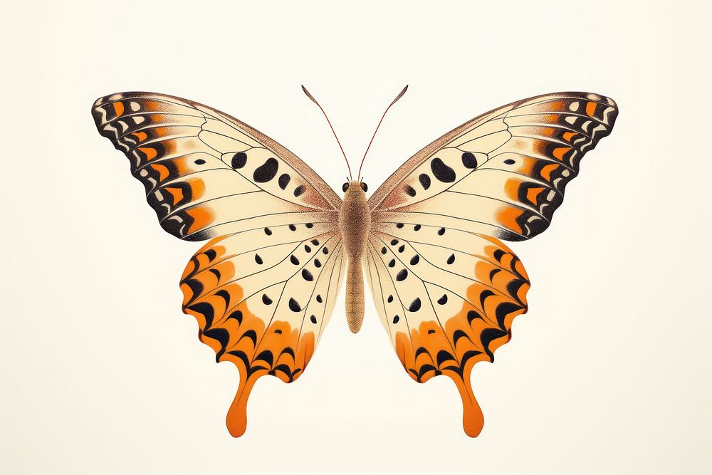 Butterfly animal insect magnification. AI generated Image by rawpixel.