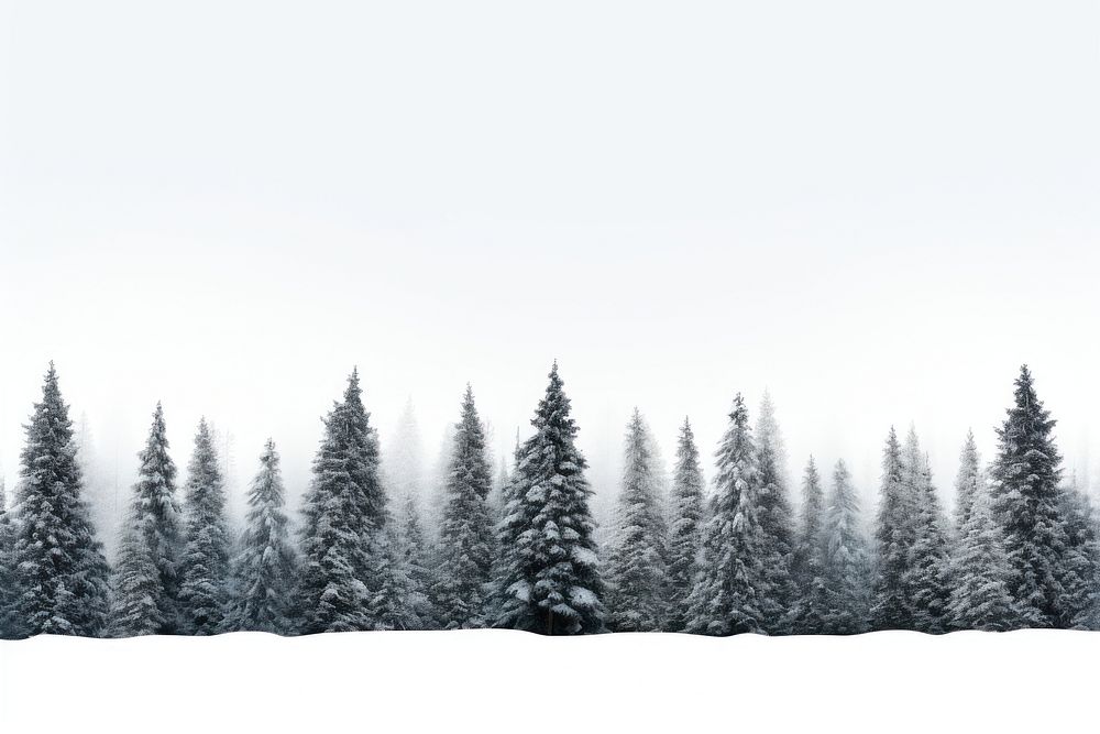 Tree snow outdoors woodland. AI generated Image by rawpixel.