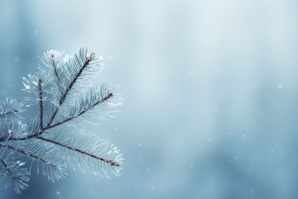 Backgrounds outdoors winter nature. AI generated Image by rawpixel.