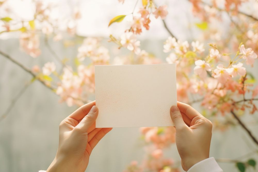 Outdoors blossom holding flower. AI generated Image by rawpixel.