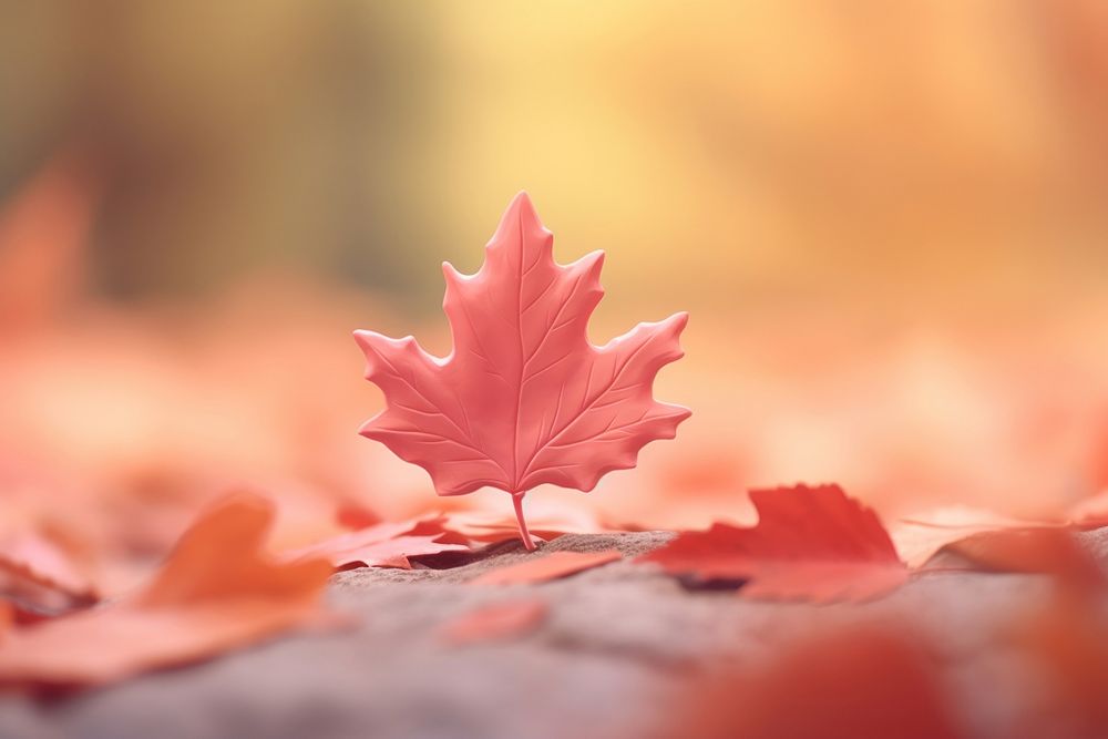 Maple leaf autumn plant. AI generated Image by rawpixel.