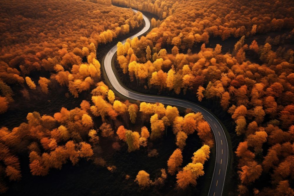 Forest road outdoors nature. AI generated Image by rawpixel.