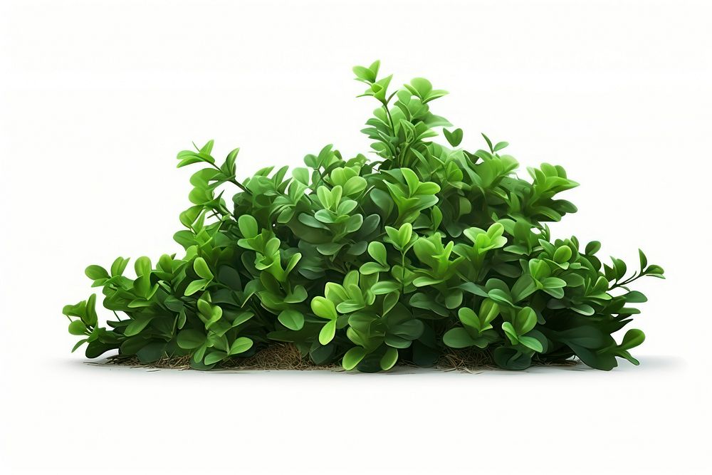 Green plant herbs leaf. AI generated Image by rawpixel.