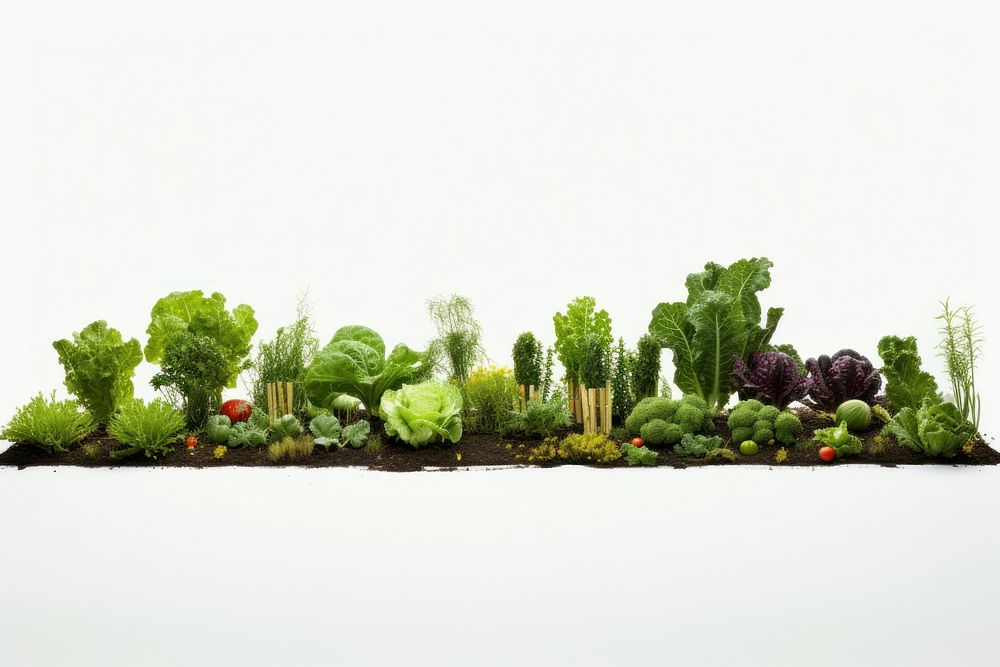 Vegetable nature garden plant. AI generated Image by rawpixel.