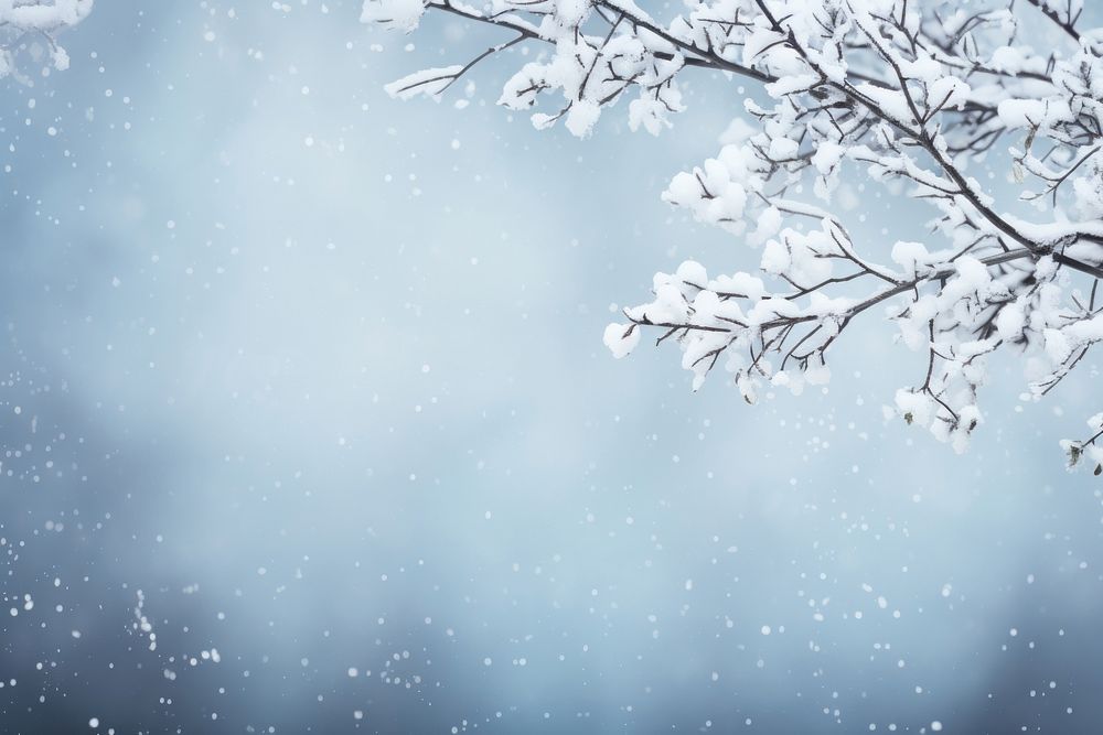 Winter snow backgrounds snowflake. AI generated Image by rawpixel.