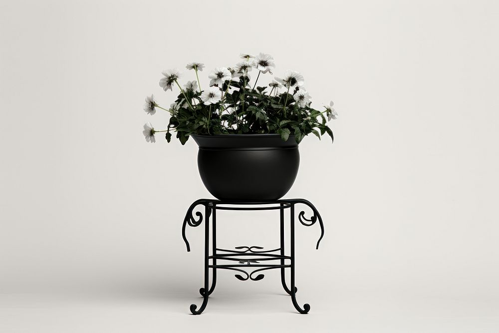 Flower furniture plant black. AI generated Image by rawpixel.