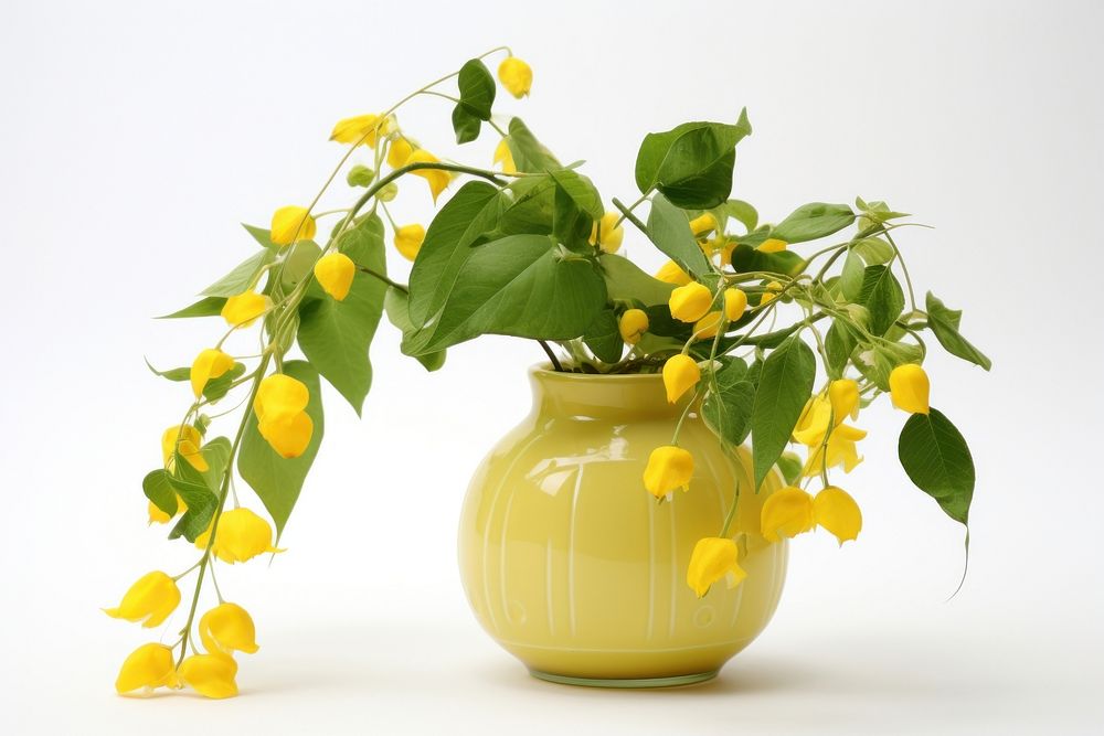 Vase flower yellow plant. AI generated Image by rawpixel.