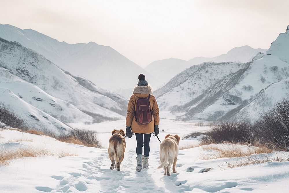 Dog mountain outdoors backpack. AI generated Image by rawpixel.