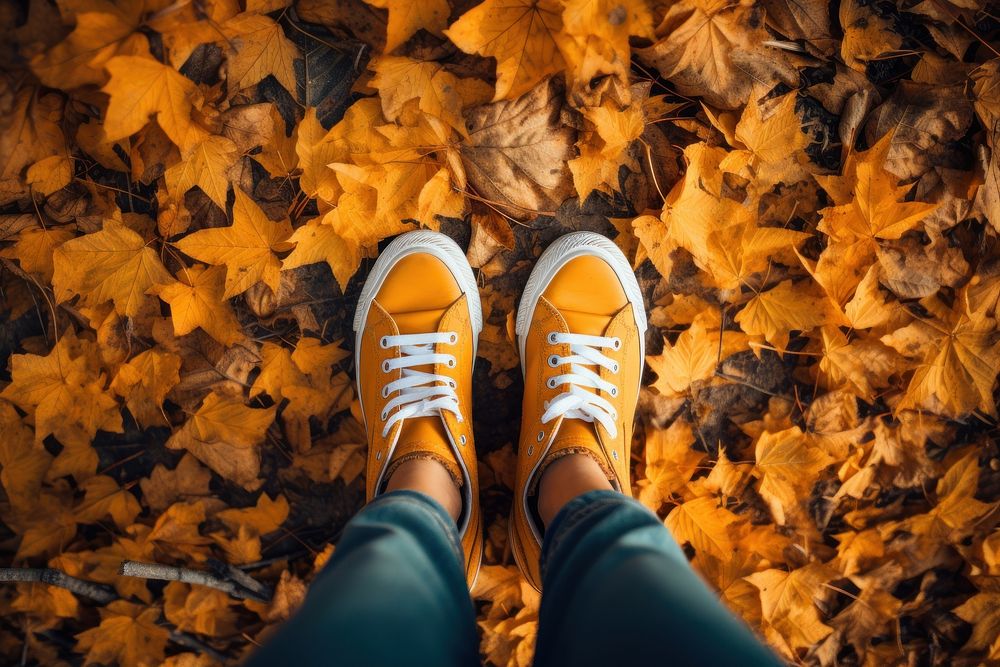 Autumn footwear sneaker leaves. AI generated Image by rawpixel.