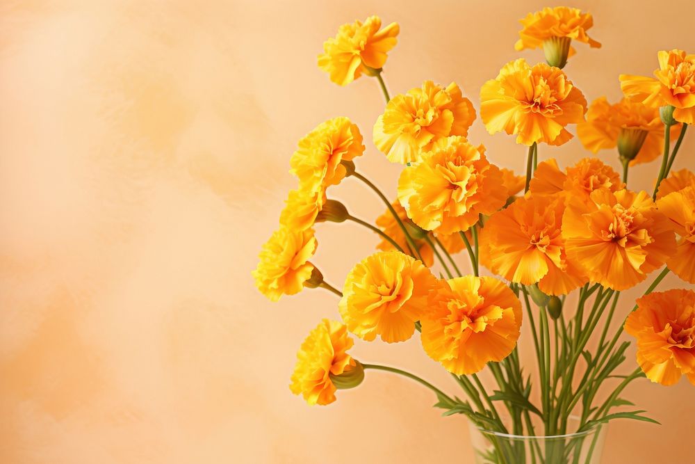 Marigold flower petal plant. AI generated Image by rawpixel.
