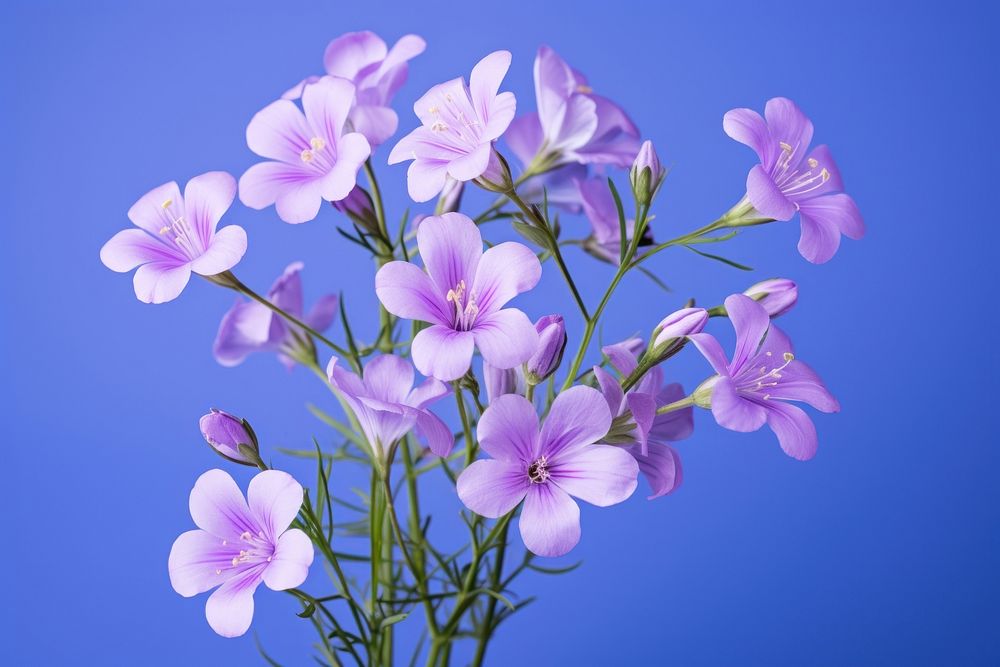 Blossom flower petal plant. AI generated Image by rawpixel.