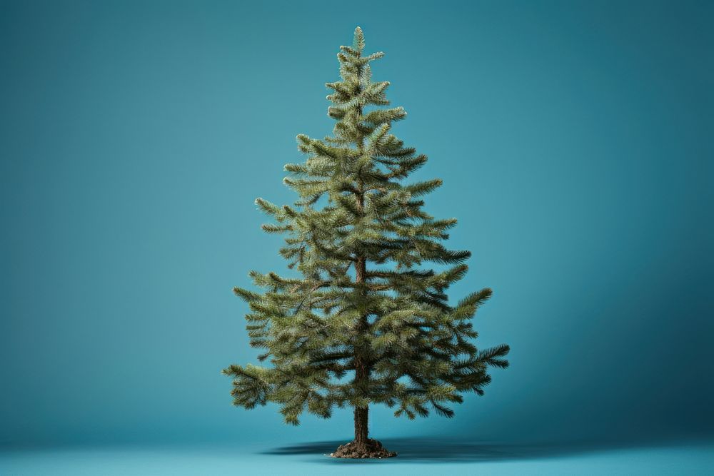 Tree fir plant pine. AI generated Image by rawpixel.