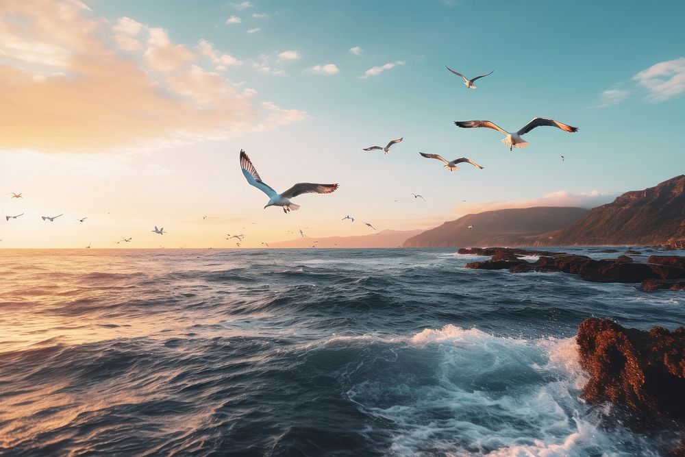 Seagull flying outdoors horizon. AI generated Image by rawpixel.