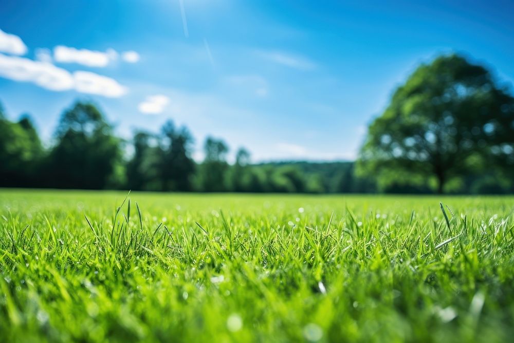 Landscape outdoors grass green. AI generated Image by rawpixel.