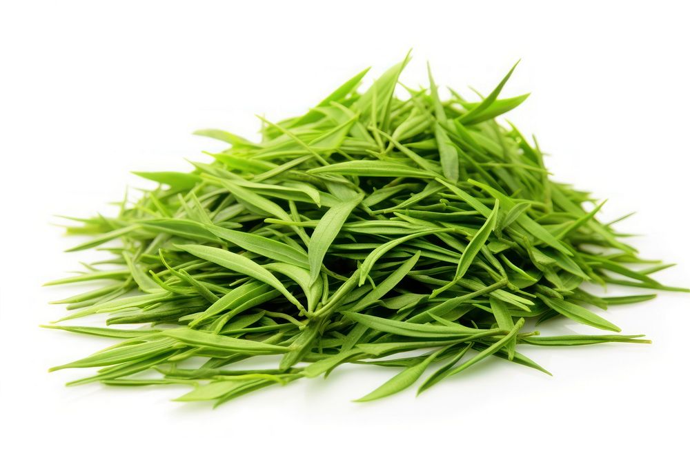 Green tea plant grass herbs. AI generated Image by rawpixel.