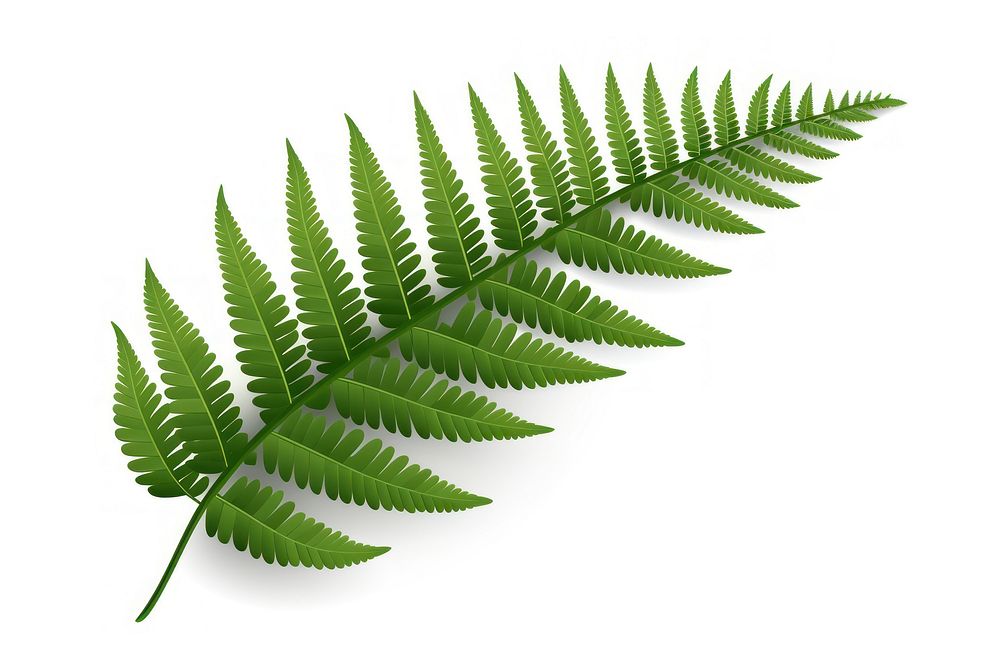 Leaf fern plant frond. AI generated Image by rawpixel.