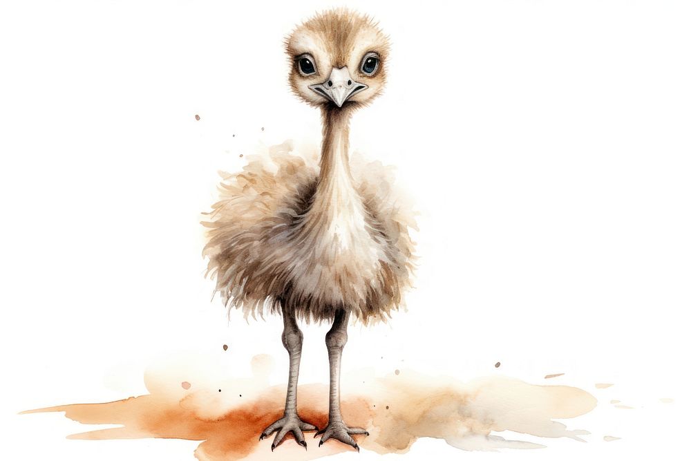 Ostrich animal bird beak. AI generated Image by rawpixel.