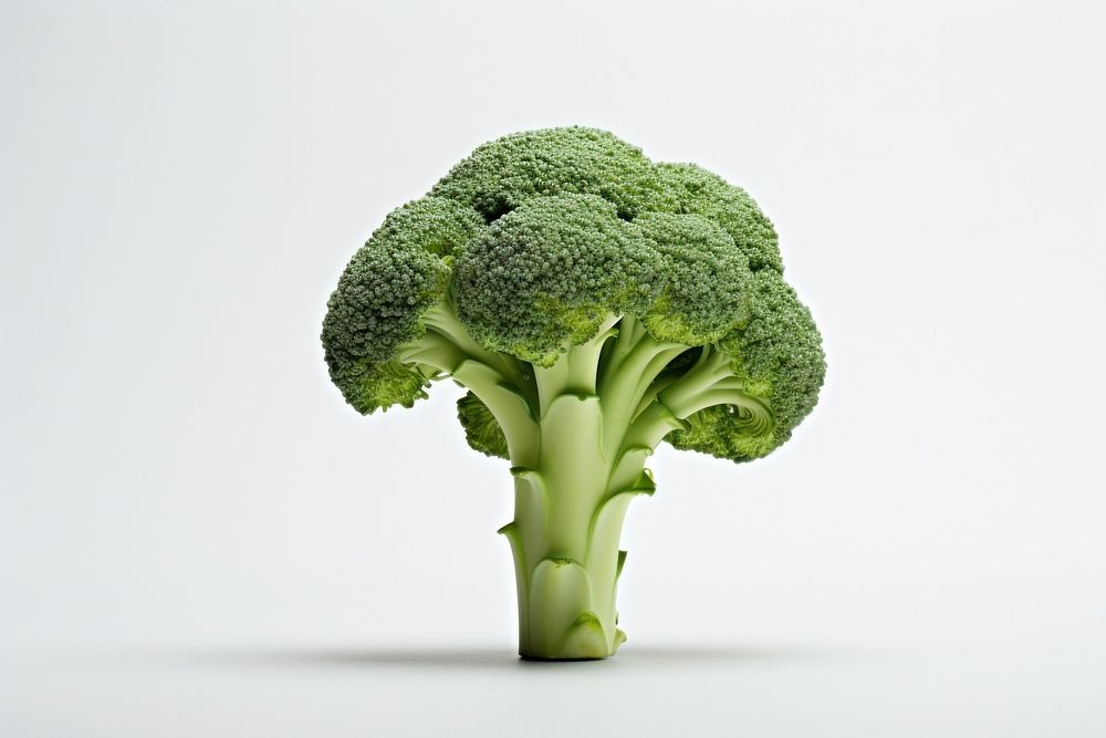 Broccoli vegetable plant food. 