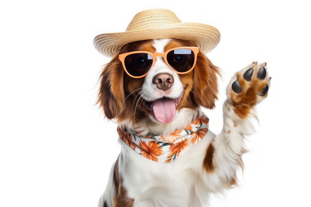 Dog sunglasses portrait mammal. AI generated Image by rawpixel.