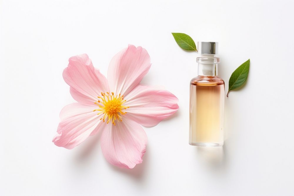 Flower cosmetics perfume bottle. AI generated Image by rawpixel.