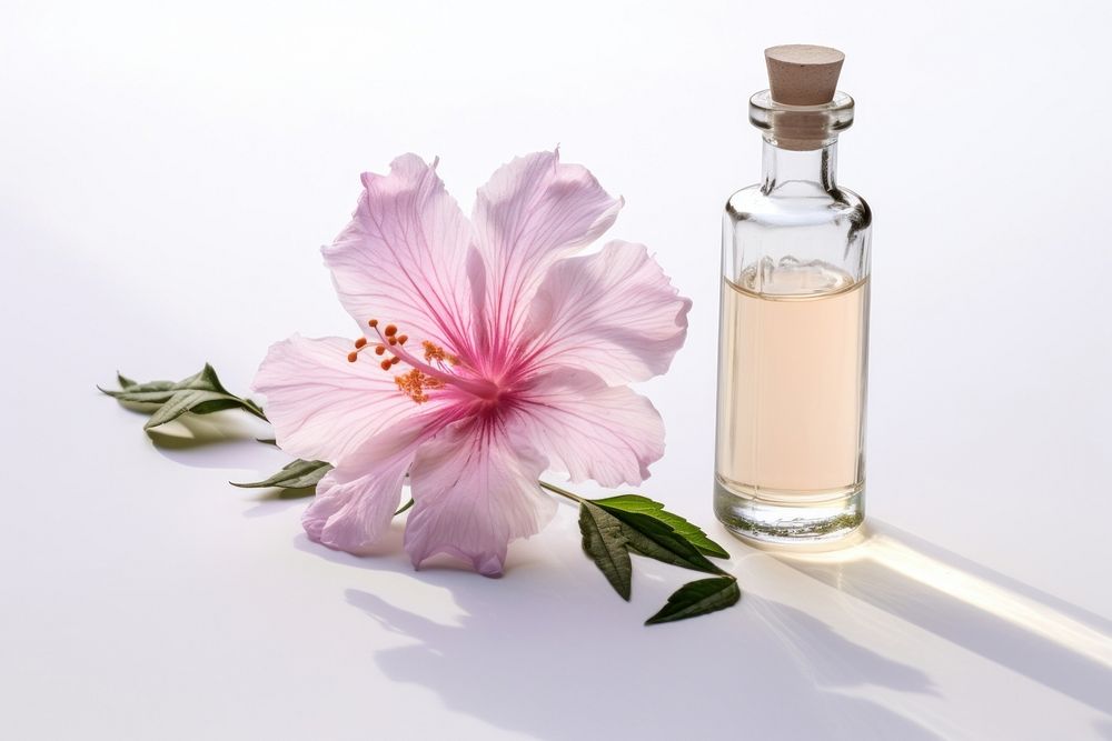 Flower cosmetics blossom perfume. AI generated Image by rawpixel.