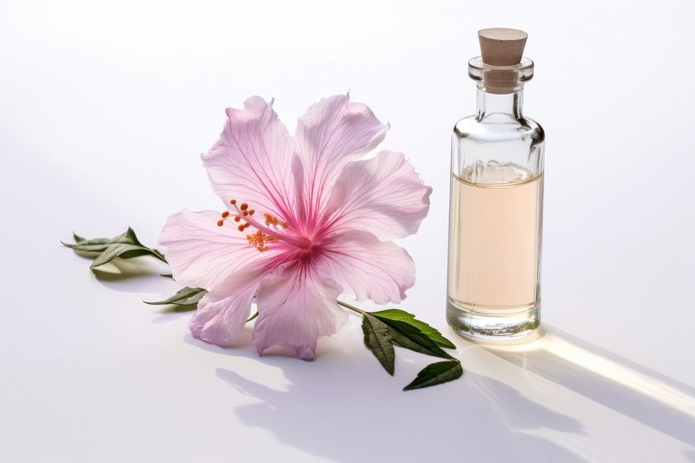 Flower cosmetics blossom perfume. 