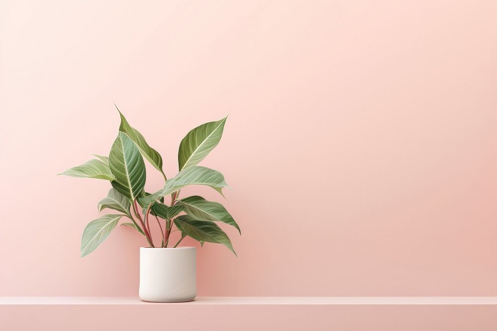Plant leaf wall houseplant. AI generated Image by rawpixel.