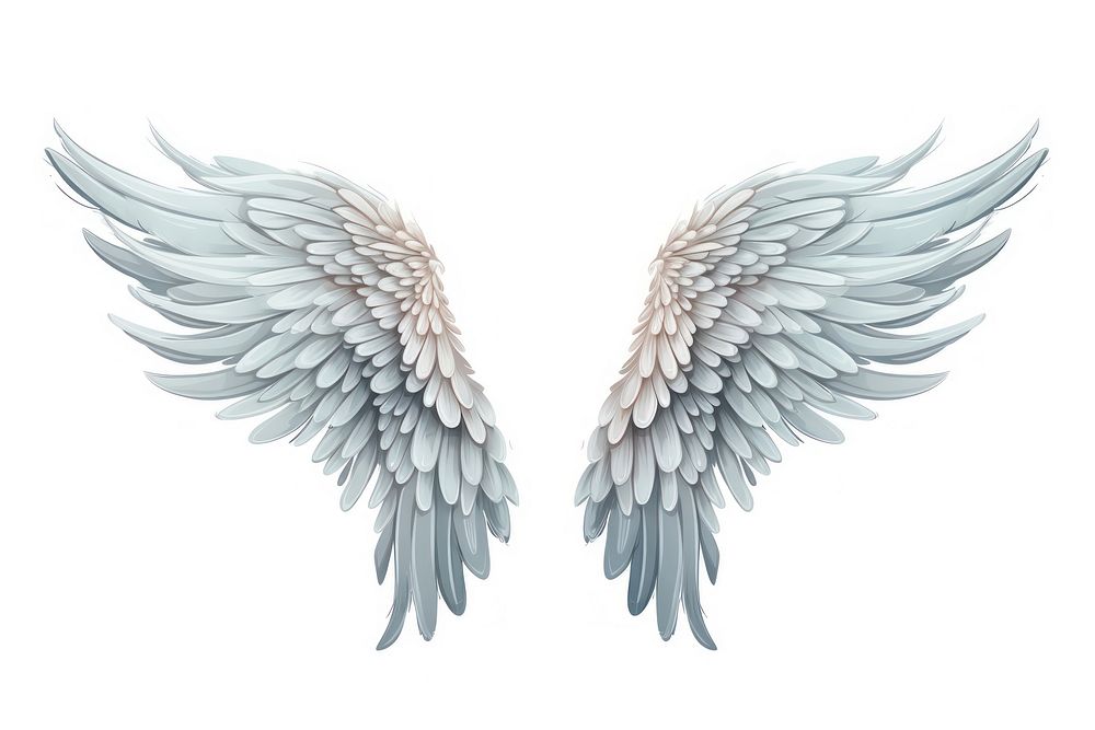 Angel white wing white background. AI generated Image by rawpixel.