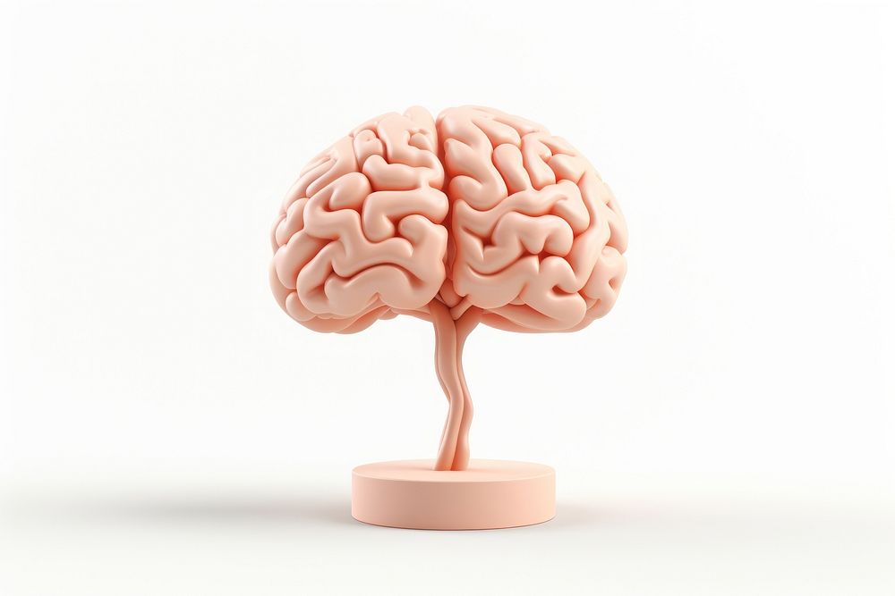 Brain white background medical dessert. AI generated Image by rawpixel.