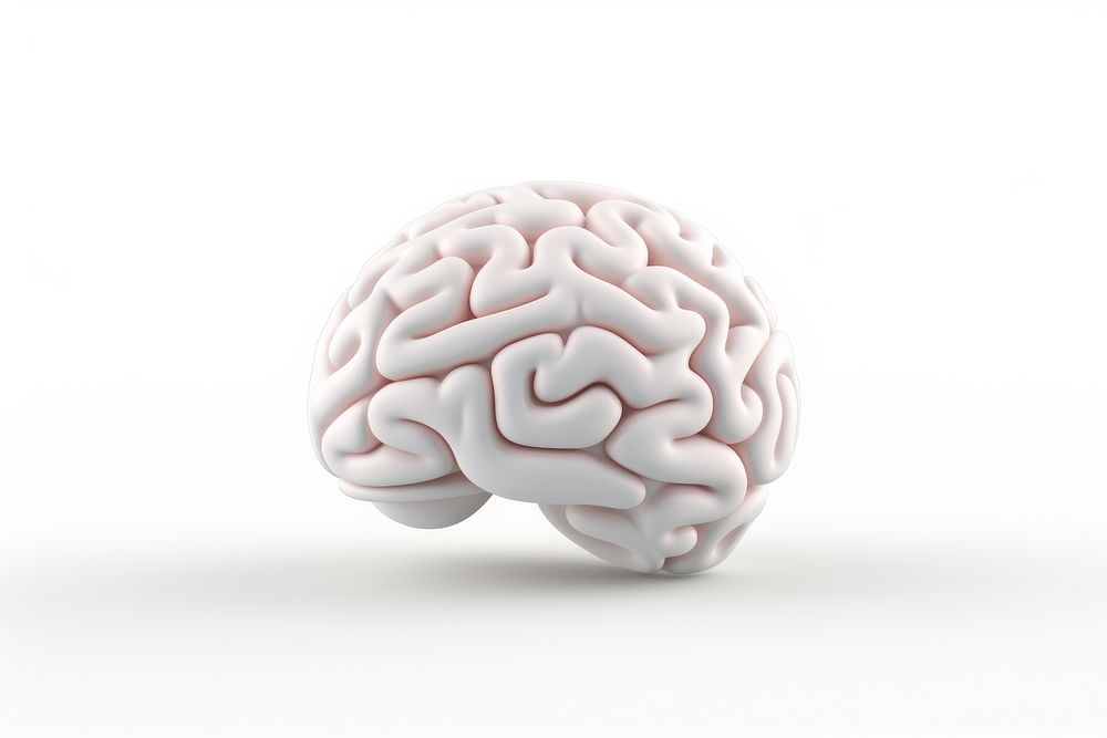 Brain white background outdoors medical. AI generated Image by rawpixel.