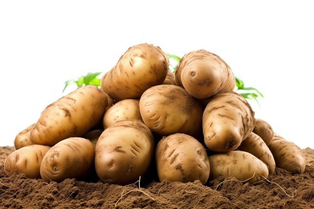 Vegetable potato plant food. AI generated Image by rawpixel.