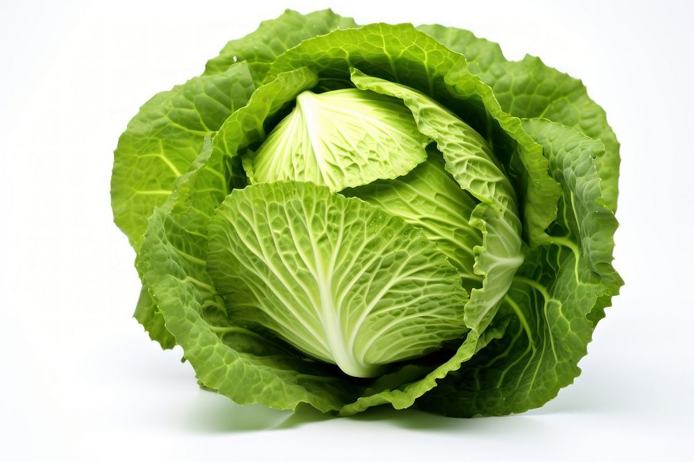 Vegetable cabbage plant food. AI generated Image by rawpixel.