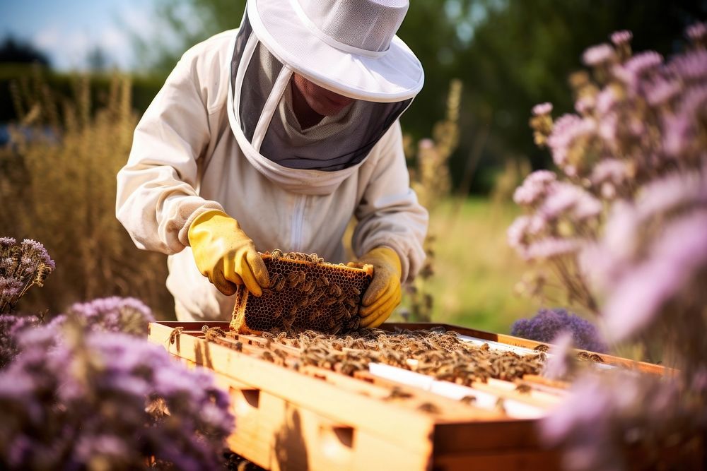Bee beekeeper working nature. AI generated Image by rawpixel.